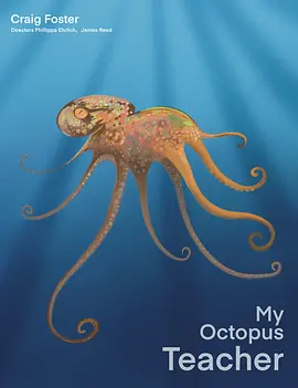 [4K纪录片] 我的章鱼老师 My Octopus Teacher (2020) / 我的八爪鱼老师(港) / My.Octopus.Teacher.2020.2160p.NF.WEB-DL.x265.10bit.SDR.DDP5.1